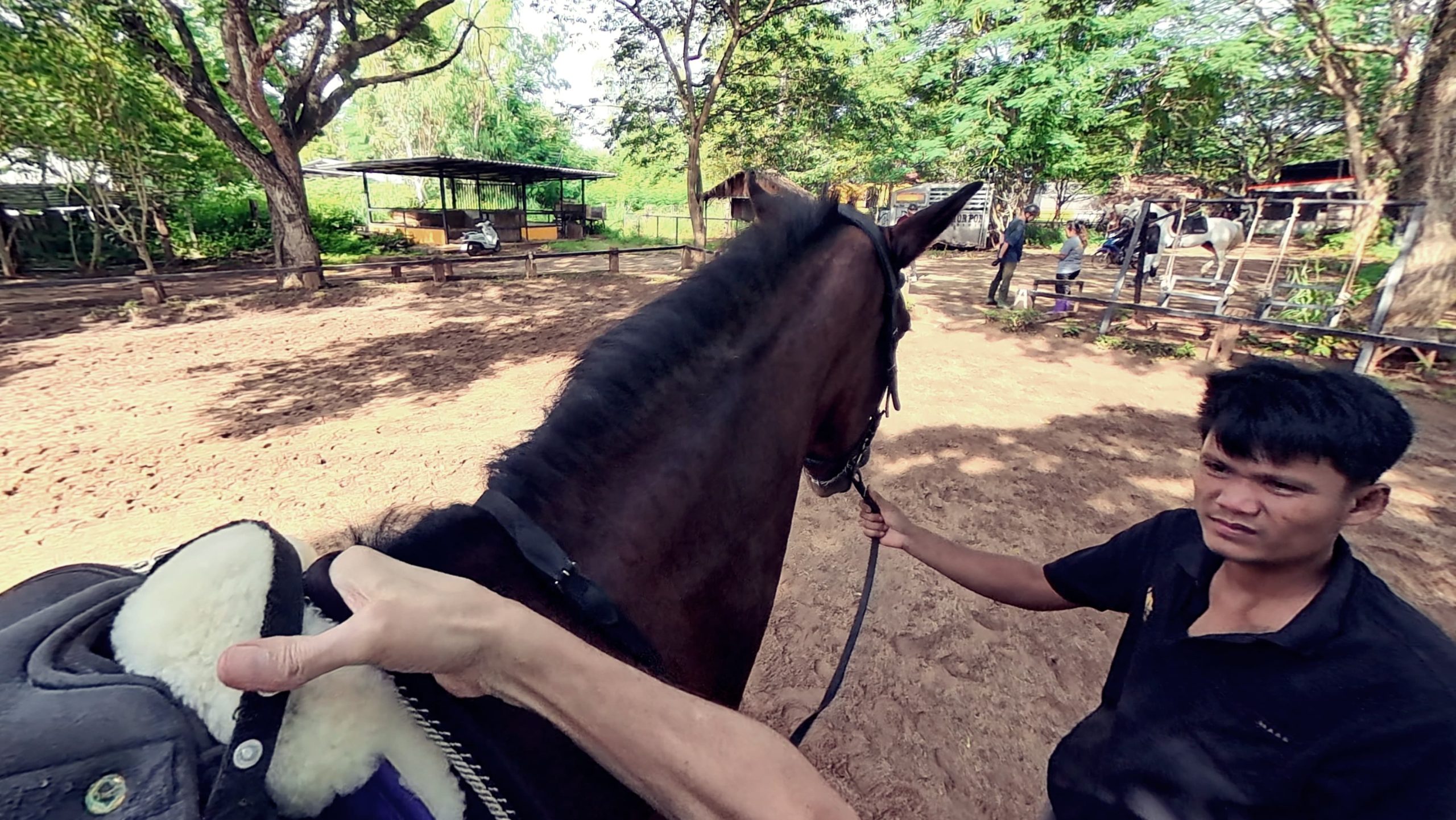 The Pre-Mount Protocol: Ten Checks Before You Step Into the Saddle 